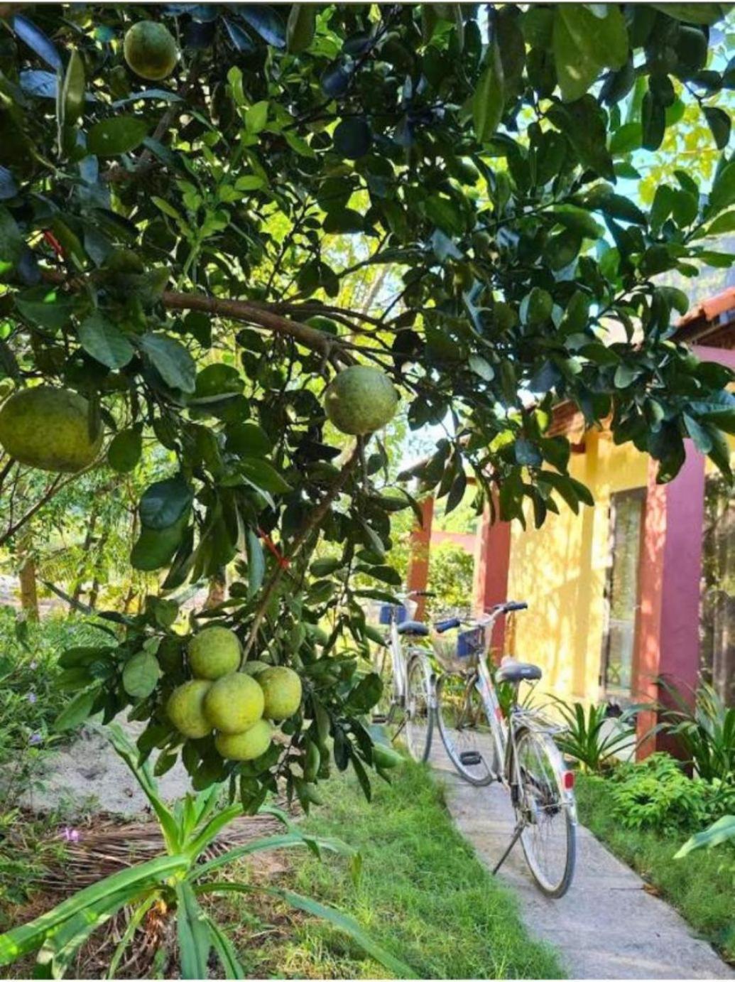 Trang An Retreat Βίλα Νιν Μπιν Εξωτερικό φωτογραφία