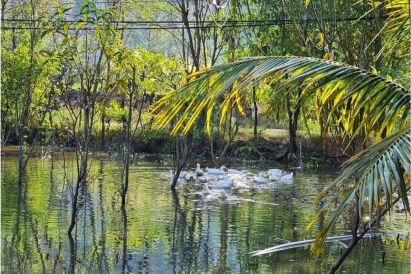 Trang An Retreat Βίλα Νιν Μπιν Εξωτερικό φωτογραφία